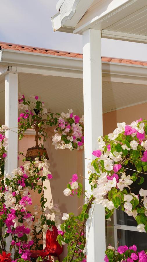 Milas Yelken Bungalov Bed & Breakfast エクステリア 写真