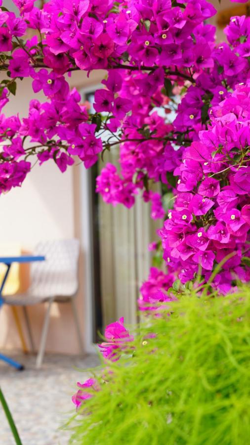 Milas Yelken Bungalov Bed & Breakfast エクステリア 写真